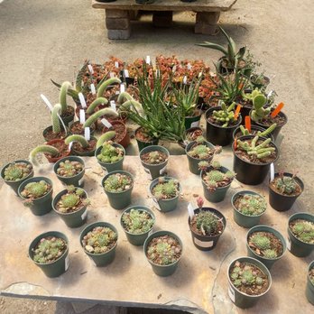 Bushnell Gardens Nursery - Nurseries & Gardening Near Me - Granite Bay, California Bushnell Gardens Nursery - Nurseries & Gardening Near Me - Granite Bay, California