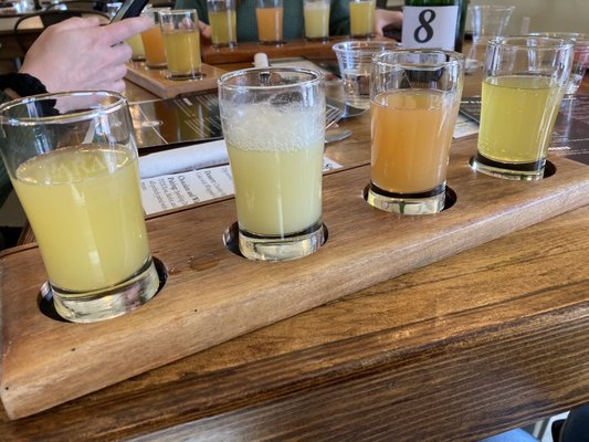 Paradocx Vineyard by null