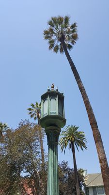 Doheny Mansion by null