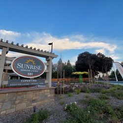 Sunflower Sky - View of sculpture