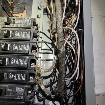 White Tail Electrical - Electricians Near Me - Oak Park, Michigan White Tail Electrical - Electricians Near Me - Oak Park, Michigan