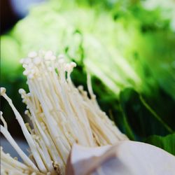 Chuan Yu Hot Pot