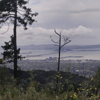 Grizzly Peak - Hiking Near Me - Berkeley, California