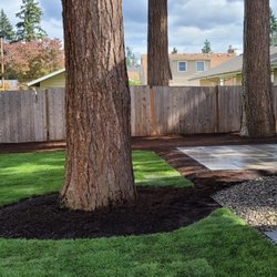 Climbing Monkeys Tree Services & Landscaping
