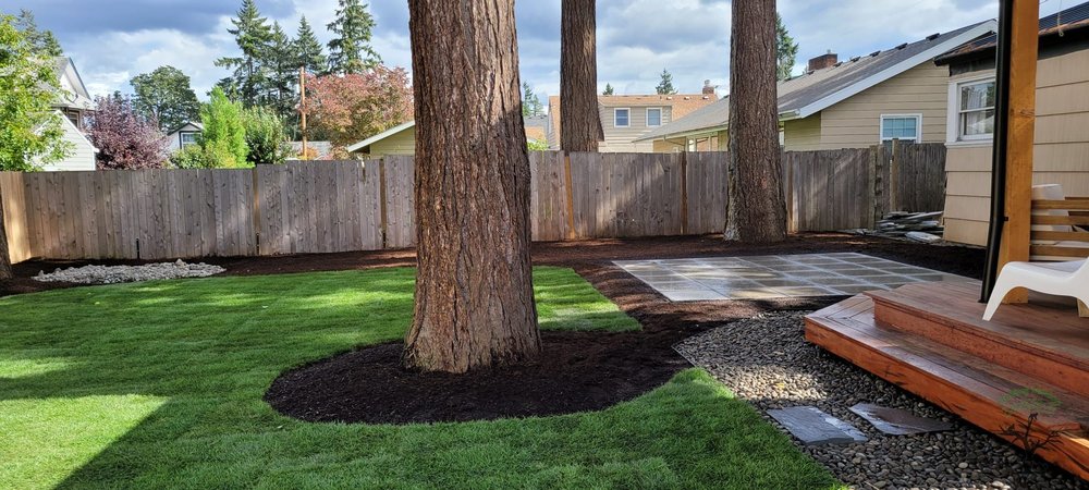 Climbing Monkeys Tree Services & Landscaping - tree service in Hillsboro, OR