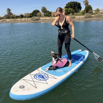 SUP Pups - Paddleboarding Near Me - San Diego, California SUP Pups - Paddleboarding Near Me - San Diego, California