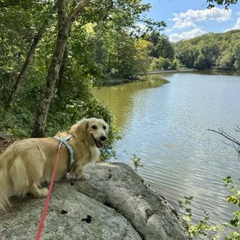 Teatown Lake Reservation - Hiking Near Me - Ossining, New York
