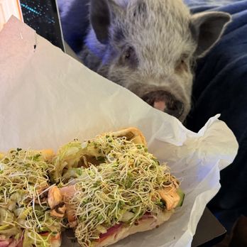 Baggin's Gourmet Sandwiches - Veggie with Cheese - Sandwiches Near Me - Tucson, Arizona