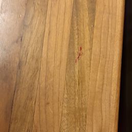 Blood from the bedbug