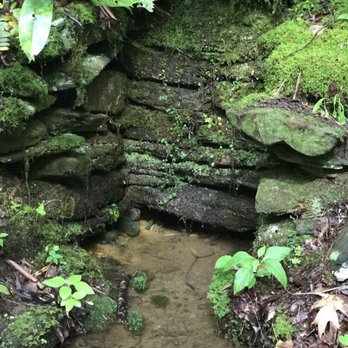 Cosby Campground - Spring we saw while hiking - Recreation Centers Near Me - Hartford, Tennessee