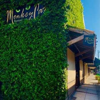 The Monkey Cat - Outside. - New American Near Me - Auburn, California