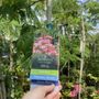 Photo of Garden In Garden's Greenhouse