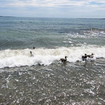 Crescent Beach State Park - undefined - Beaches Near Me - Cape Elizabeth, Maine Crescent Beach State Park - undefined - Beaches Near Me - Cape Elizabeth, Maine