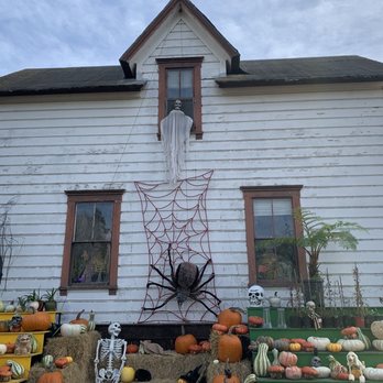 Post Street Farm - Pumpkin Patches Near Me - Santa Cruz, California