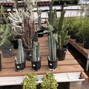 City Floral - Nurseries & Gardening Near Me - Denver, Colorado City Floral - Nurseries & Gardening Near Me - Denver, Colorado