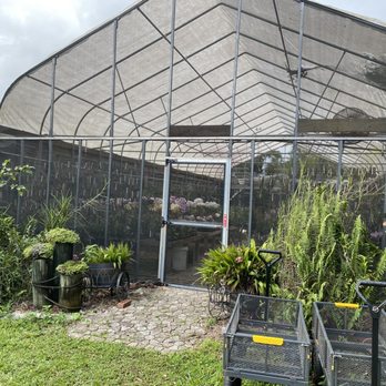 Jade Orchids - Green house - Nurseries & Gardening Near Me - Naples, Florida