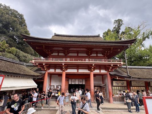 Kasugataisha Shrine by null