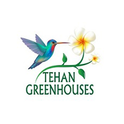 Hanging Baskets, Poted Containers, Vegetables, Flowers, Perennials, Herbs, Fertilizer, Tropical Plants