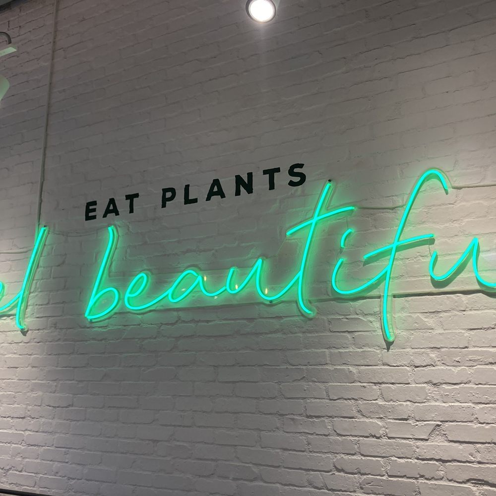 Elephant And Vine - I want this in my house lol - Vegan Near Me - Evanston, Illinois