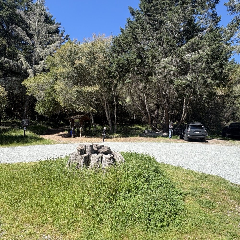 Byrne-Milliron Forest - parking lot - Hiking Near Me - Corralitos, California Byrne-Milliron Forest - parking lot - Hiking Near Me - Corralitos, California