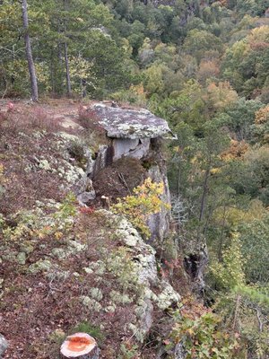 Petit Jean State Park Lake by null