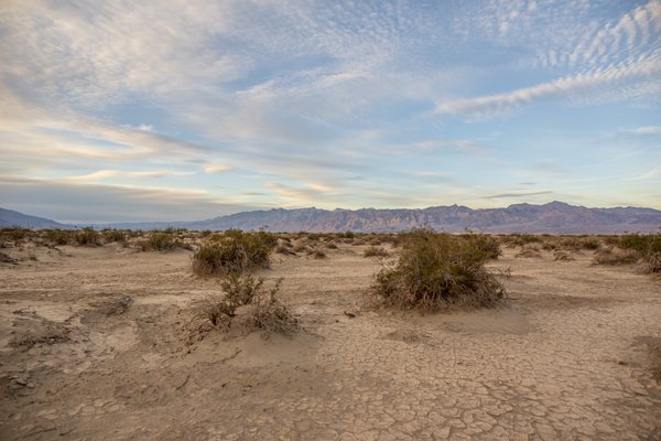 Mesquite Spring Campground by null