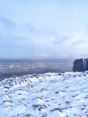 Cave Hill Country Park by null