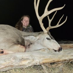 Honey Lake Firearms