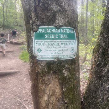 Springer Mountain - Parks Near Me - Dahlonega, Georgia Springer Mountain - Parks Near Me - Dahlonega, Georgia
