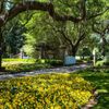 Caledonia Golf & Fish Club gift card