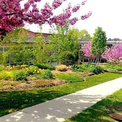 Montessori Community School - Front of the School