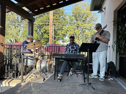 Elephants on Corbett by null