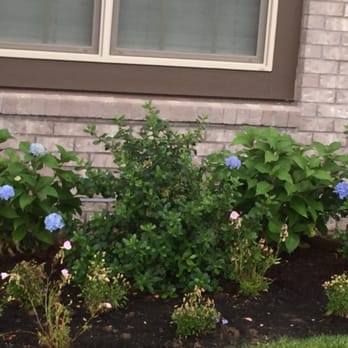 McKenzie's Landscape - After... Spent maybe $50 on some simple changes - Landscaping Near Me