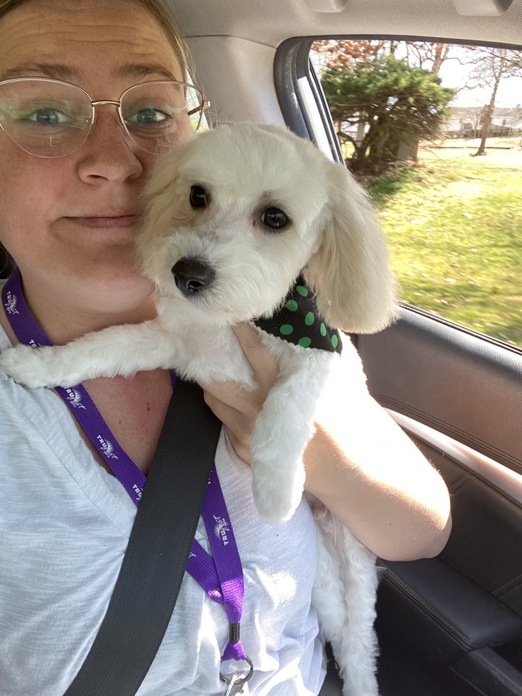 WOOLYBOOGERS GROOMING Updated August 2024 102 Lois Ln, Lexington