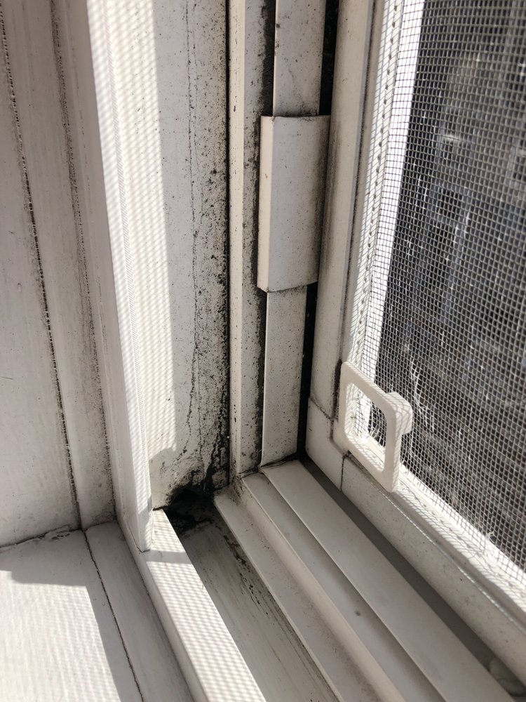 STEAMATES Updated October 2024 18 Photos Halifax, Nova Scotia