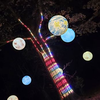 Starry Nights - Festivals Near Me - Memphis, Tennessee