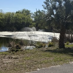 Daytona RV Park - Rv park "green" pond