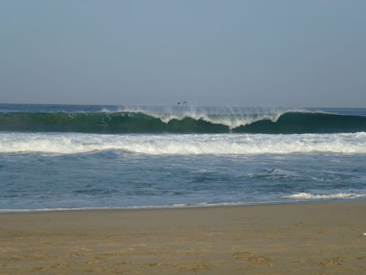 Playa Zicatela by null