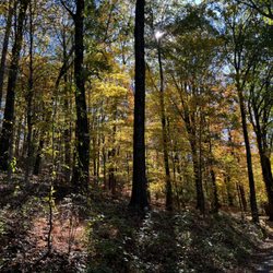 Rockefeller State Park Preserve