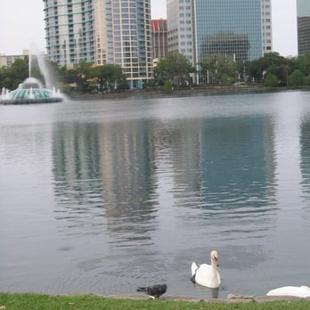 Lake Eola Park - Reflections of some of Orlando's large buildings on the lake - Parks Near Me - Orlando, Florida
