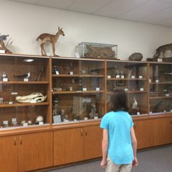 Trout Lake Nature Center - Specimens