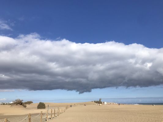 Dunas de Maspalomas by null