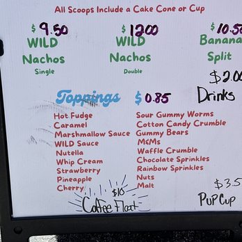 Wild Thorne Dairy - Menu - Ice Cream & Frozen Yogurt Near Me - Edgewater, Florida
