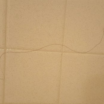 Bahia Resort Hotel - Long black hair that wasn't ours in the shower at check in - San Diego, CA