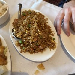 Pork fried rice