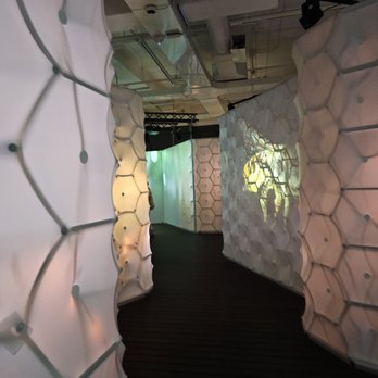 Royal Ontario Museum - Special Exhibit. Bees: A Story of Survival. Oversized hives, because why not - Museums Near Me - Toronto, Ontario Royal Ontario Museum - Special Exhibit. Bees: A Story of Survival. Oversized hives, because why not - Museums Near Me - Toronto, Ontario