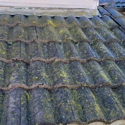 Prosol Solar Panel Cleaning & Pigeon Control - Before