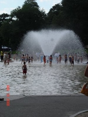 Boston Common Frog Pond by null