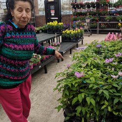 Walmart Garden Center - Plants plants everywhere!