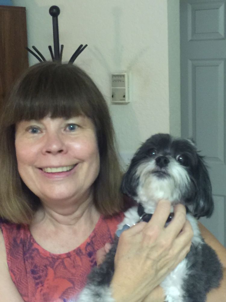 AFFINITY FOR PETS Updated October 2024 Clearwater, Florida Pet